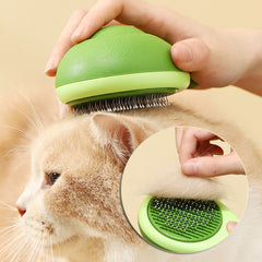 Cat Brush